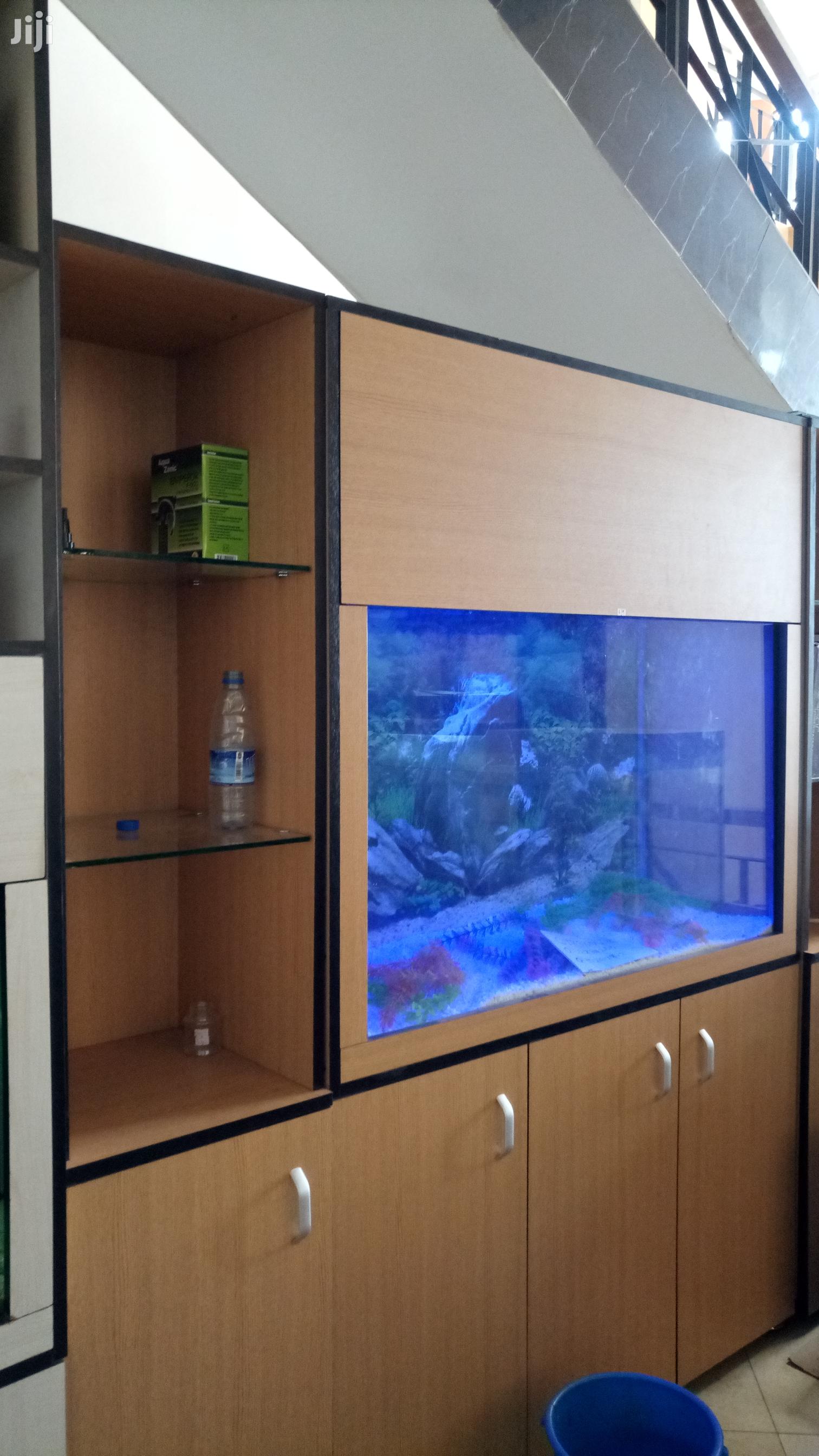 Aquariums With AQUA 2000