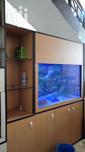 Aquariums With AQUA 2000