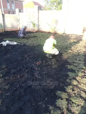 Grass Planting,Compound Designing,Land Scarping.
