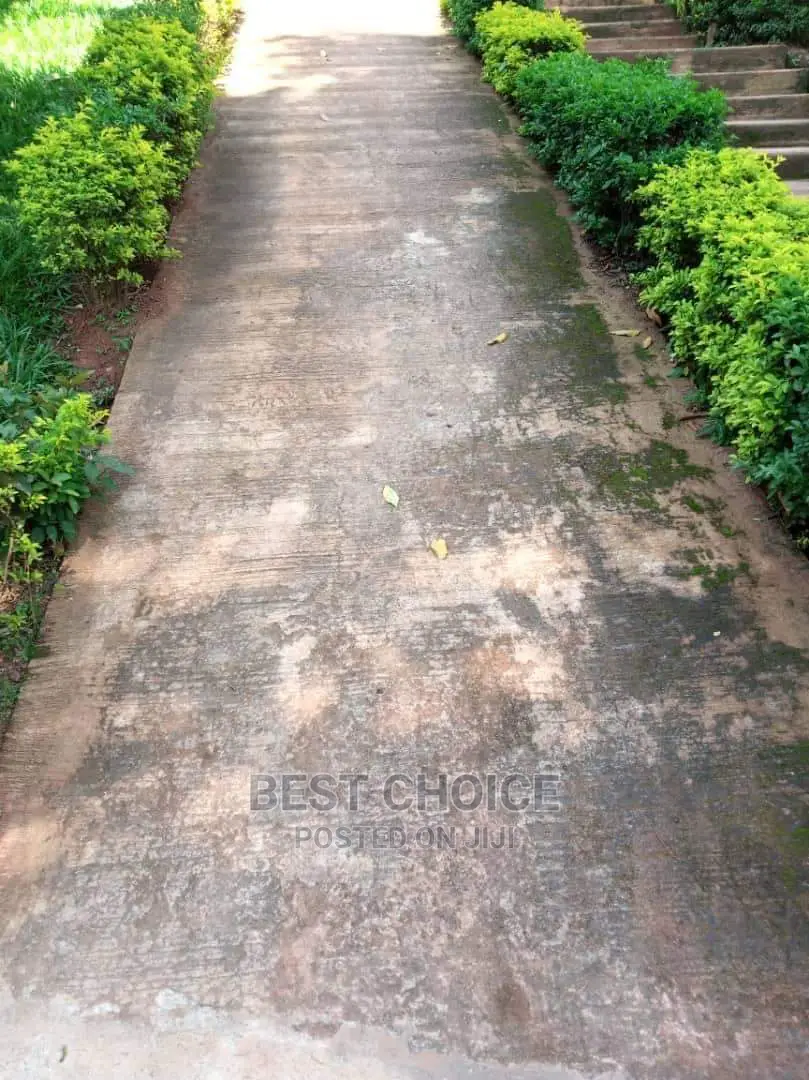 Exceptional Concrete Cleaning Services.