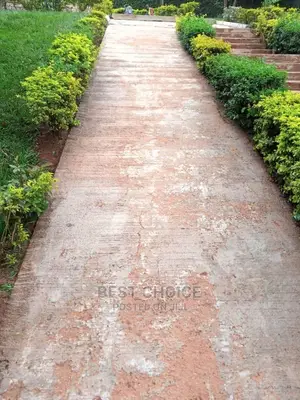 Exceptional Concrete Cleaning Services.