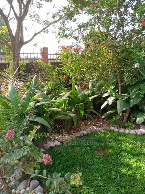 Advanced Compound Designing and Land Scarping Services.