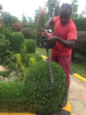 Compound Designing and Land Scarping.
