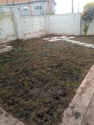 Compound Designing and Land Scarping.