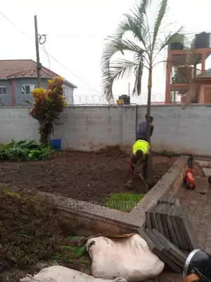 Compound Designing and Land Scarping.