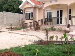 Compound Designing Land Scarping Flowers Plants Stones Pots
