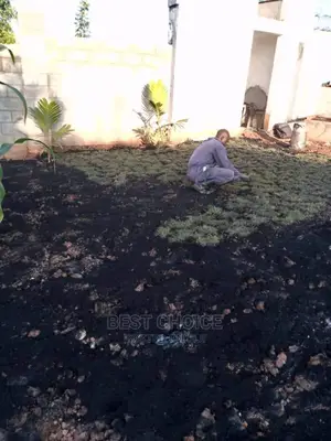 All Grass Types and Grass Planting Services.