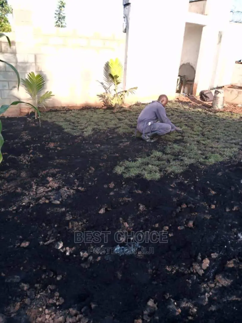 All Grass Types and Grass Planting Services.
