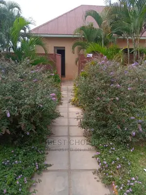 Backyard Gardening,Compound Designing,Land Scarping.