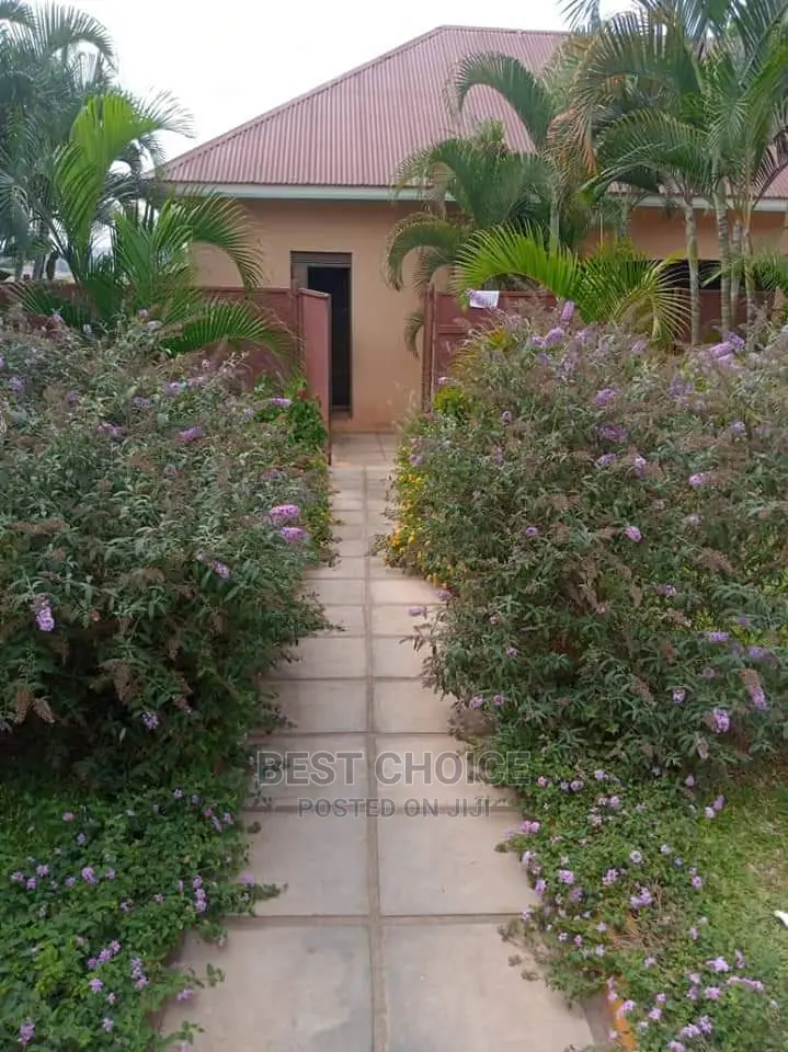 Backyard Gardening,Compound Designing,Land Scarping.