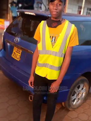 Weekend Part Time Professional Driver