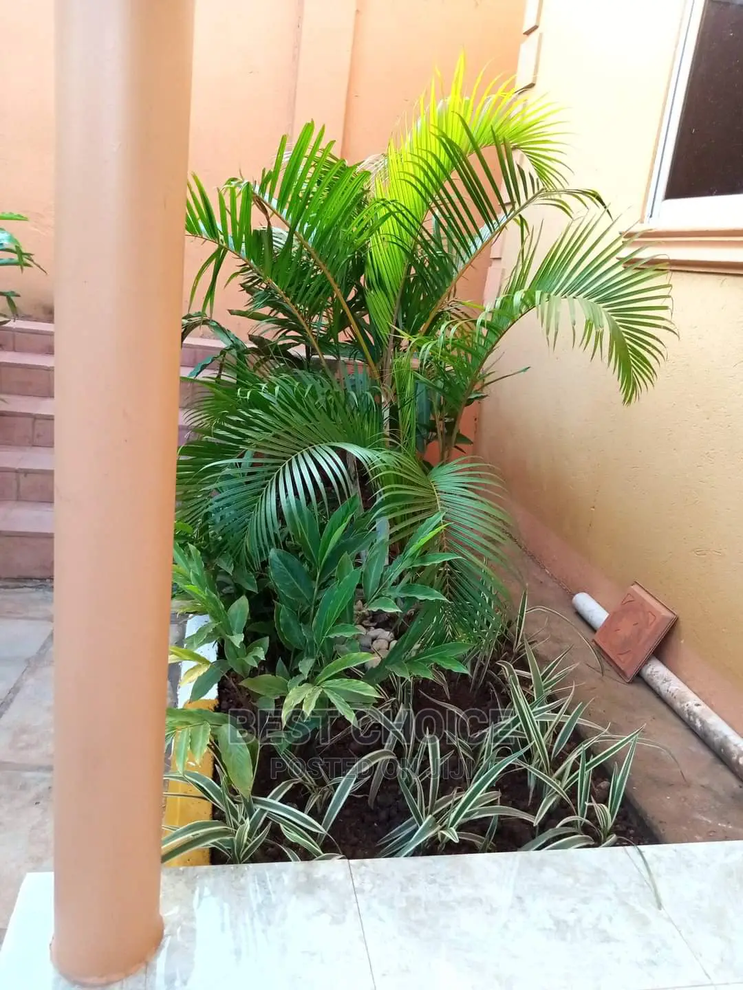 Gardening,Land Scarping,Compound Designing.
