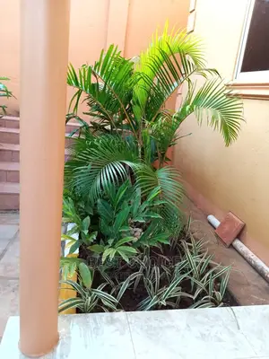 Gardening,Land Scarping,Compound Designing.