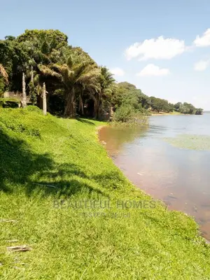 Kalangala Beach 10 Acres on Sell