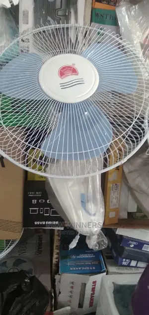 Wall Fan Crown
