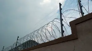 Razor Wire Galva