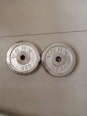 5kg Dumbbells Plates Silver