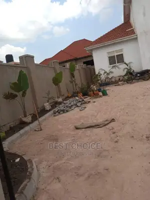 Compound Flowers/Plants,Land Scarping,Compound Designing.
