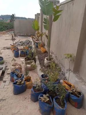Compound Flowers/Plants,Land Scarping,Compound Designing.