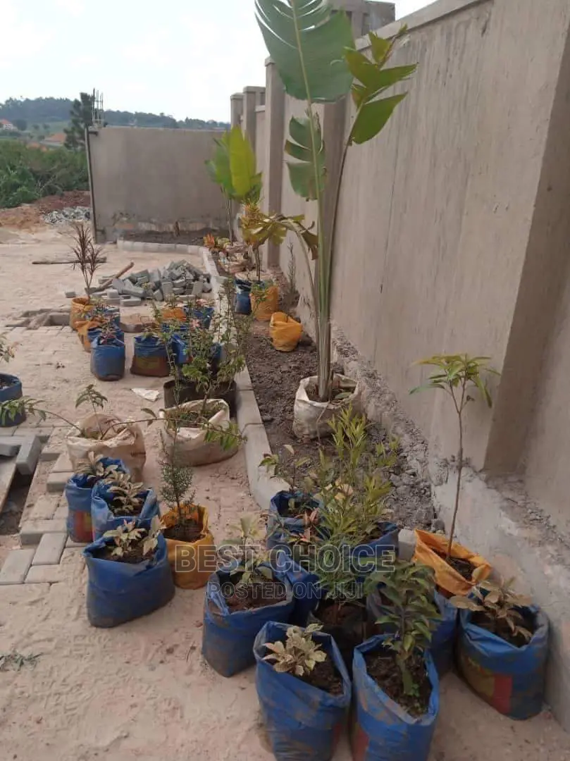Compound Flowers/Plants,Land Scarping,Compound Designing.