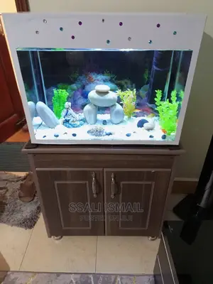 Nice and Easy to Maintain Aquarium