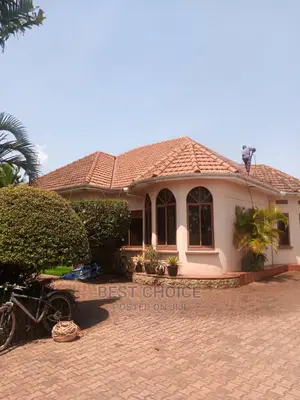 Trusted Roof Cleaning Services.