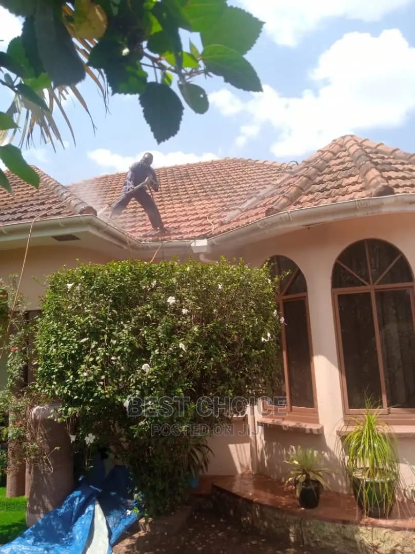 Trusted Roof Cleaning Services.