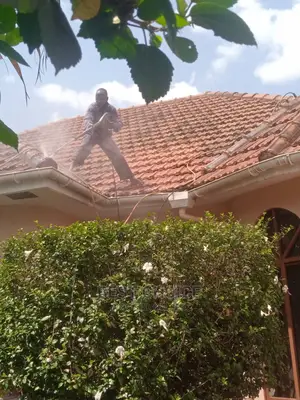 Trusted Roof Cleaning Services.