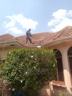 Trusted Roof Cleaning Services.