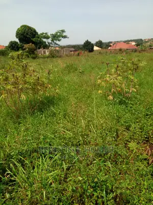 Kira Two Plots Near Tarmack on Quick Sell