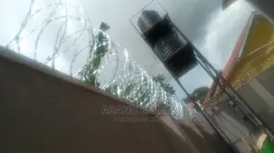 Razor Wire 450mm