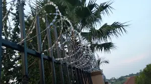 Razor Wire 450mm