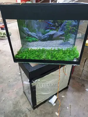 Neat Glass Box Aquarium