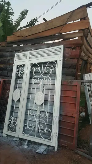 Front Doors and French Size Windows