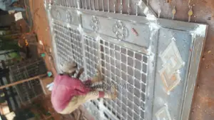 Extra Gate Size