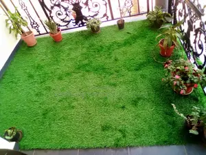 Artificial Turf Grass Carpter