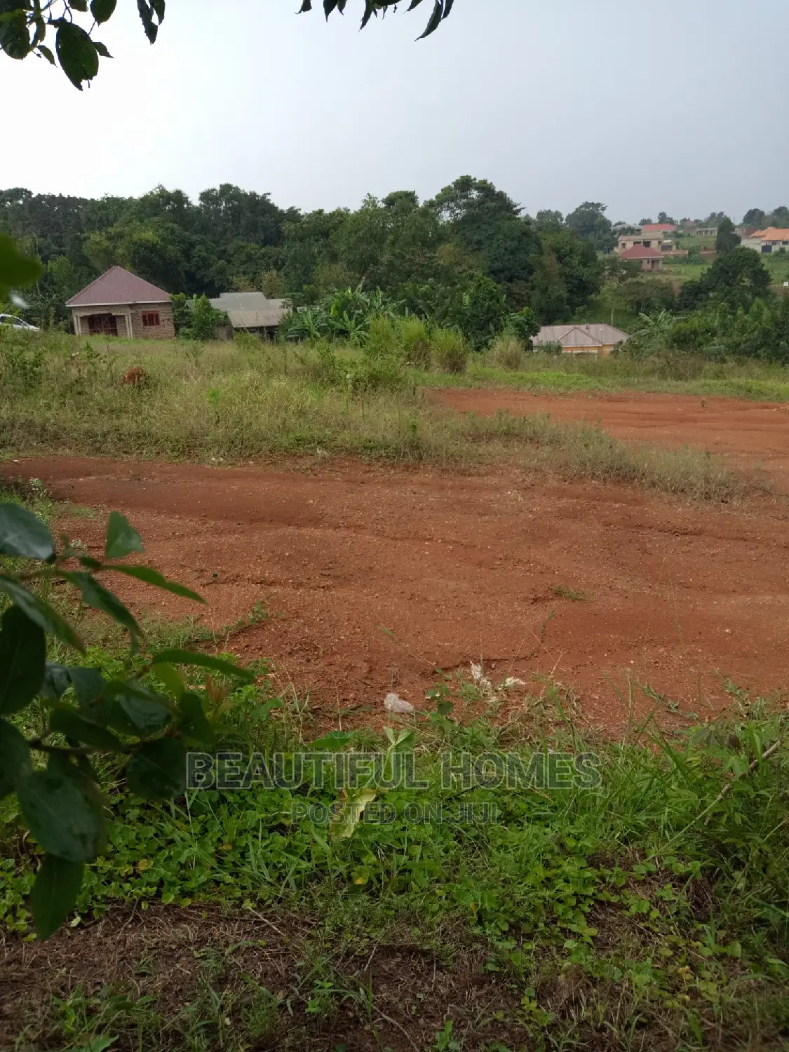 Kira Plots on Sell