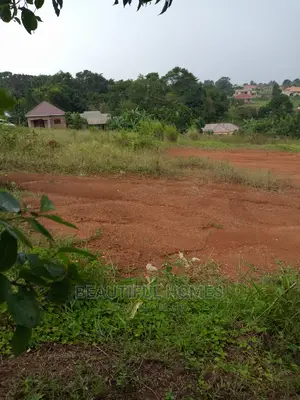 Kira Plots on Sell