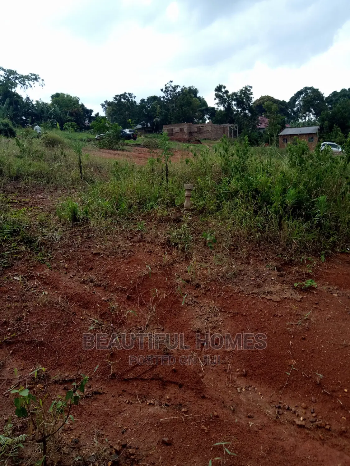 Kira Plots on Sell