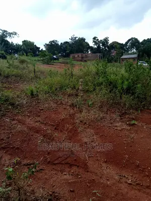 Kira Plots on Sell