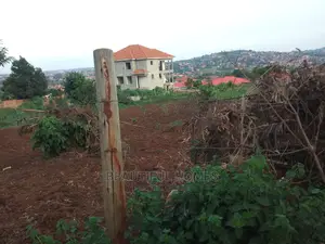 2 Plots in Kira Close to Main Road on Sell