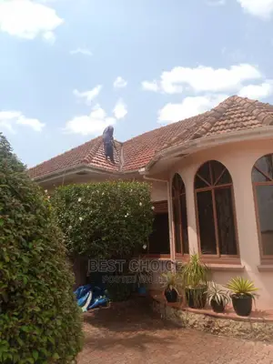 Experienced Roof and Exterior Cleaner