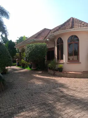 Experienced Roof and Exterior Cleaner