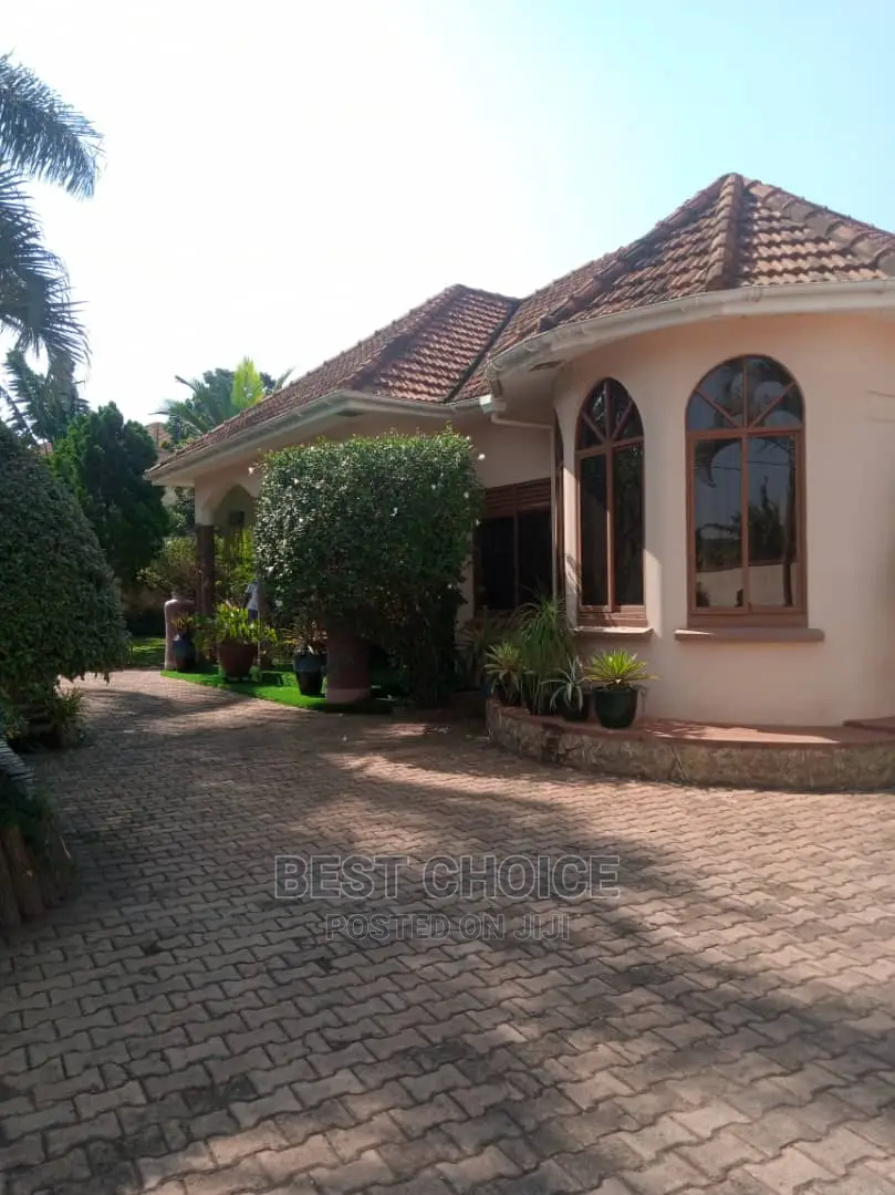 Experienced Roof and Exterior Cleaner