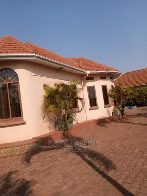 Experienced Roof and Exterior Cleaner