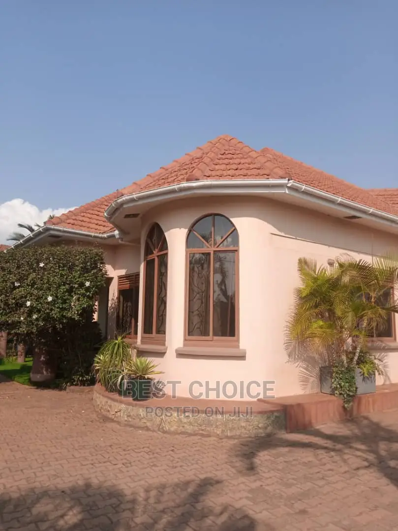 Experienced Roof and Exterior Cleaner