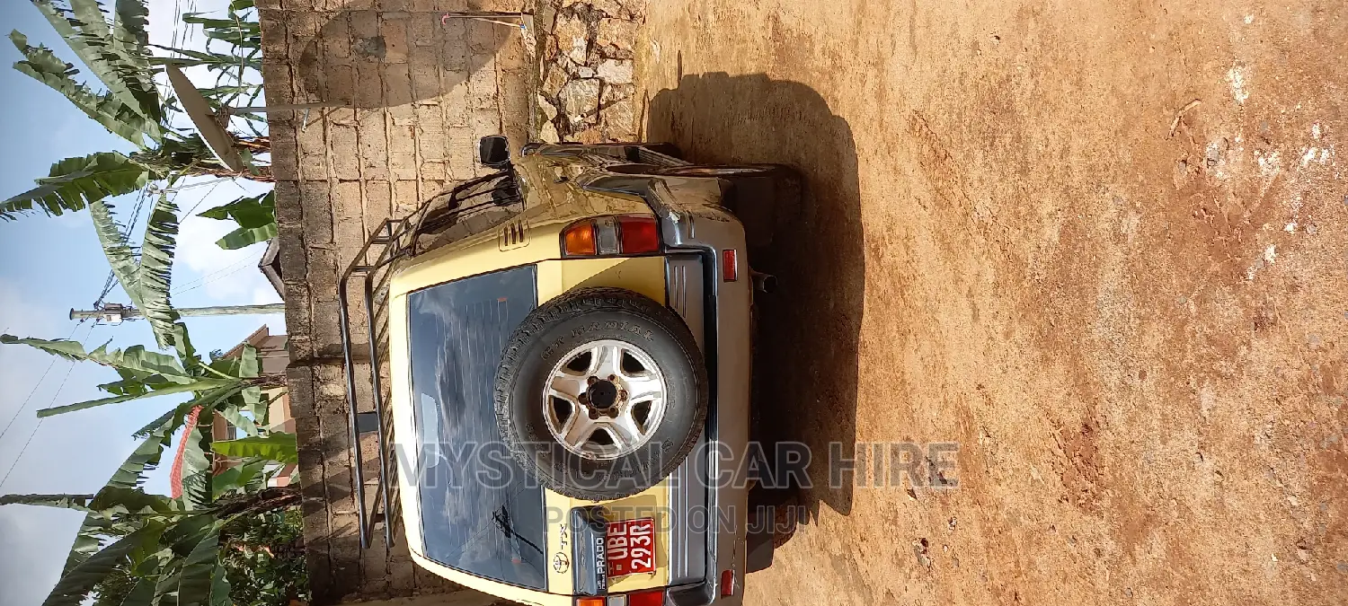 Cars for Hire and Self Drive