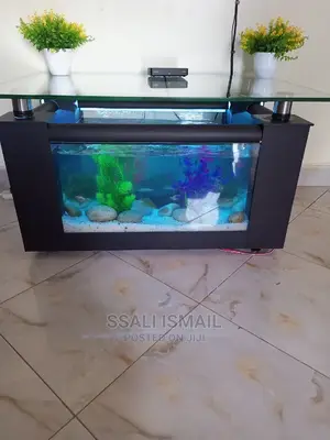 Acheap and Precise Coffee Table Aquarium