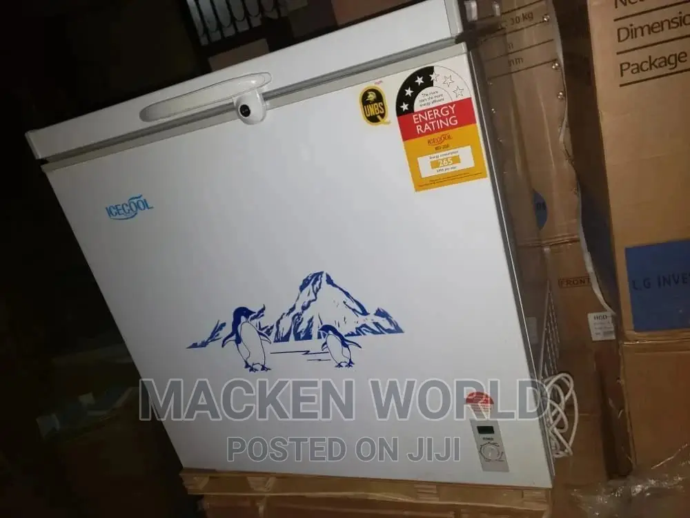 300L Icecool Deep Freezer