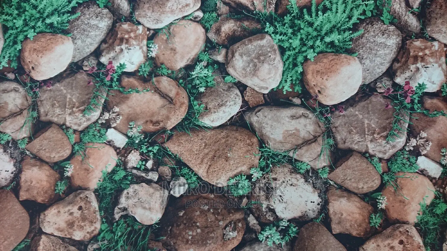 Cheapest Wallpapers